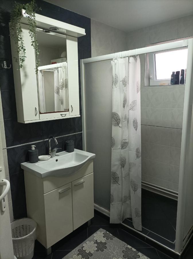 Ariana Apartman 크라구예바츠 외부 사진