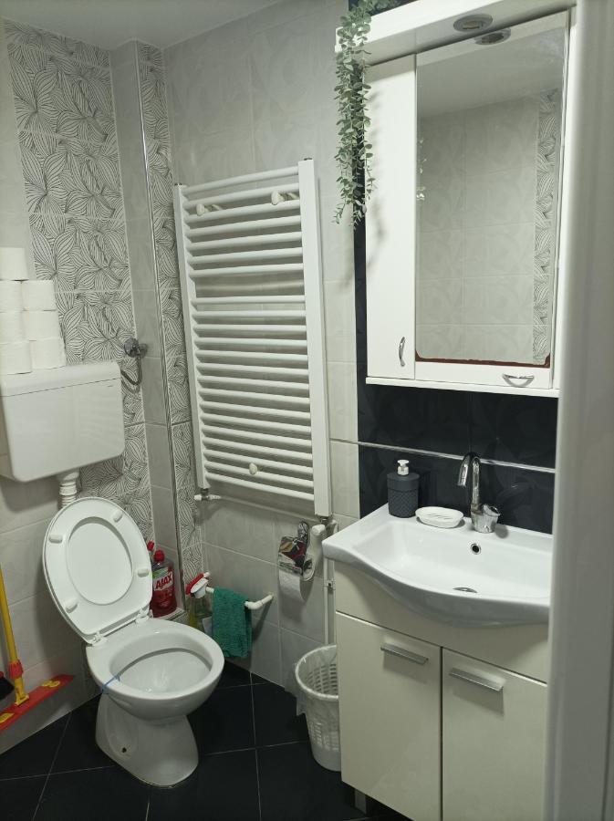 Ariana Apartman 크라구예바츠 외부 사진